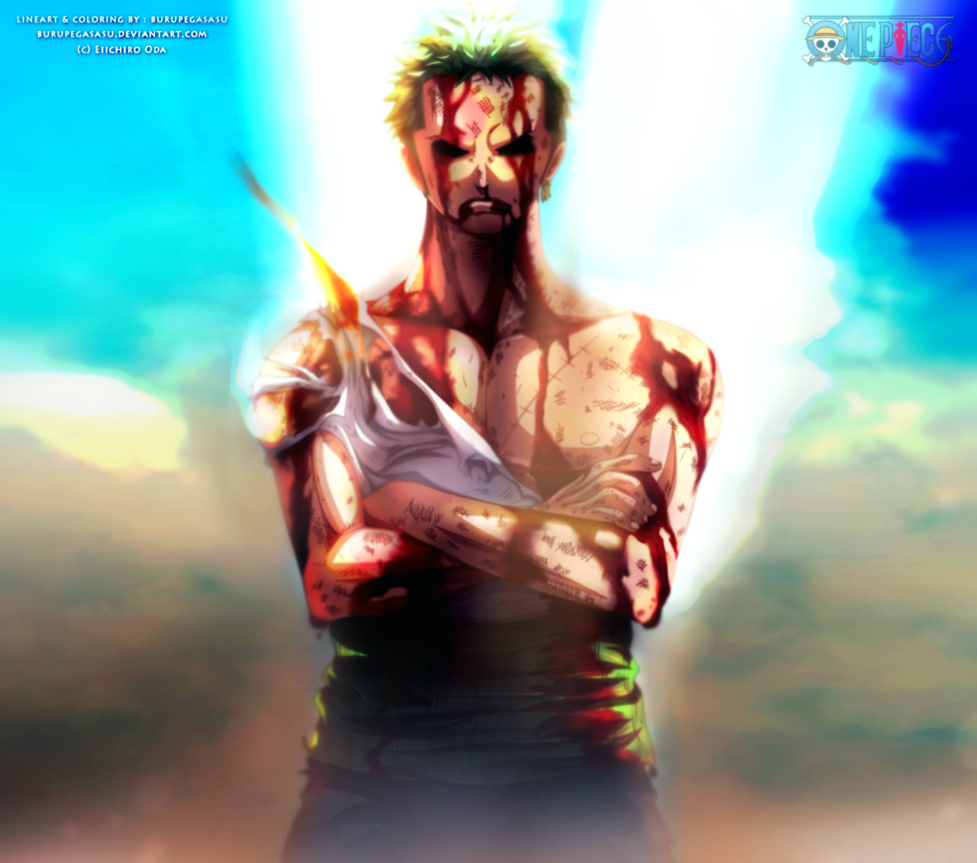 “roronoa Zoro The Infamous Swordsman” Background