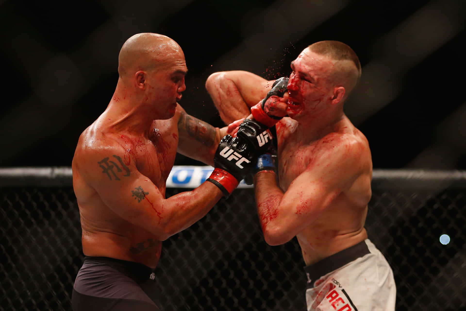 Rory Macdonald Bloody Fight With Robbie