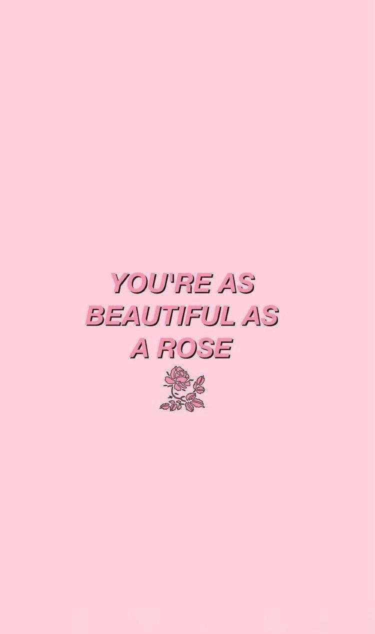 Rose And Quote Pink Aesthetic Background