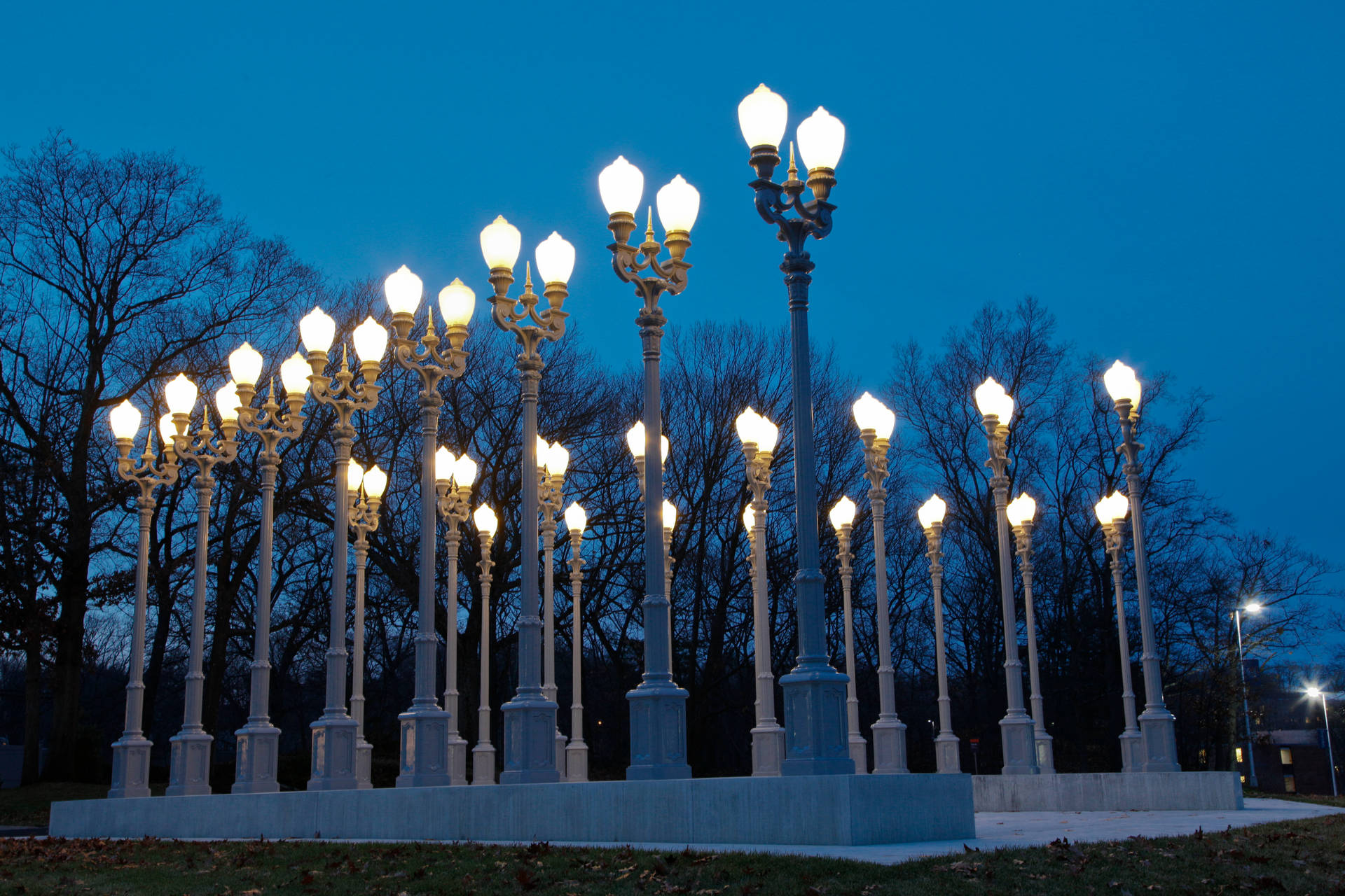 Rose Art Museum At Brandeis University