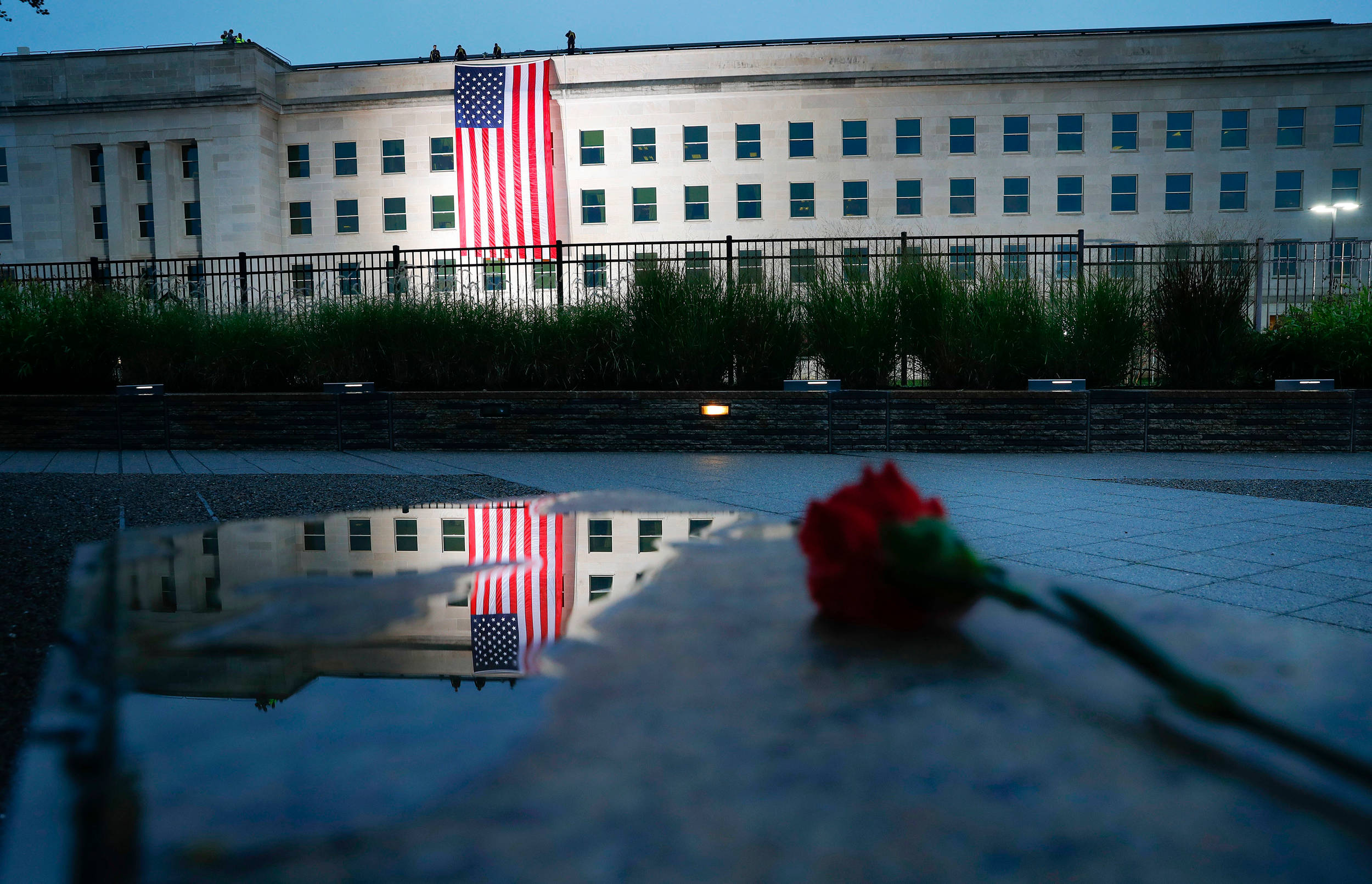 Rose At Pentagon 911 Memorial