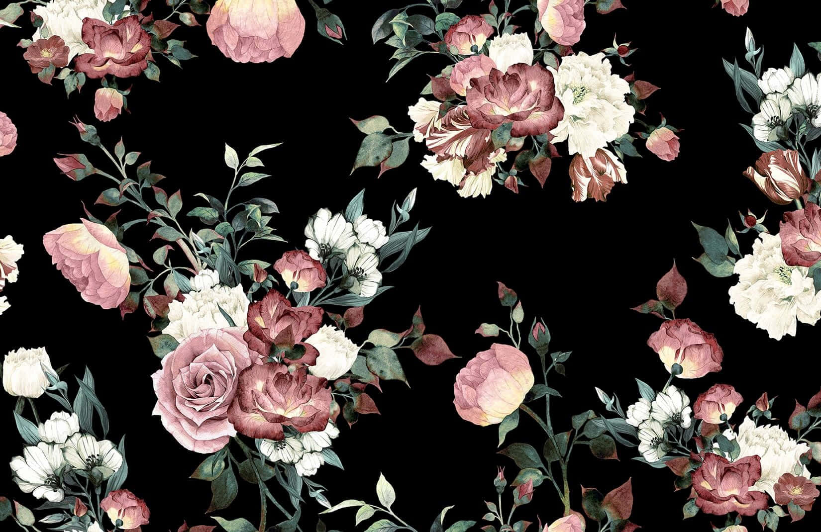 Rose Black And Pink Flower Painting Background