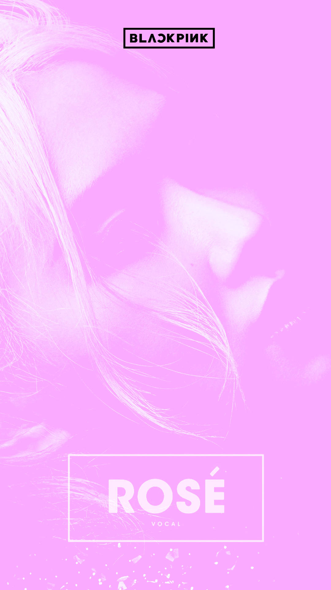 Rose Blackpink Artistic Pink Photo Background