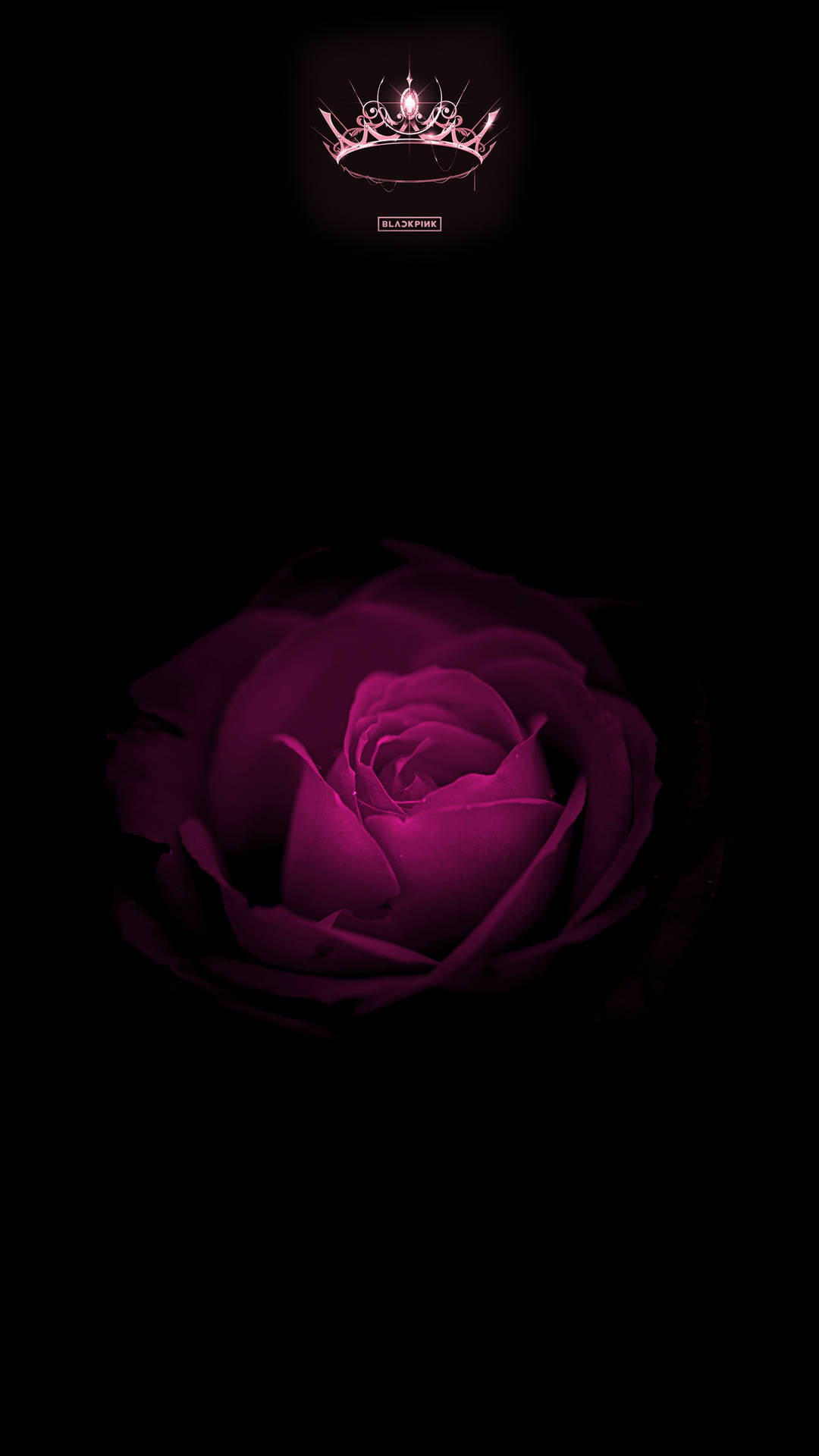 Rose Blackpink Flower With Logo Background