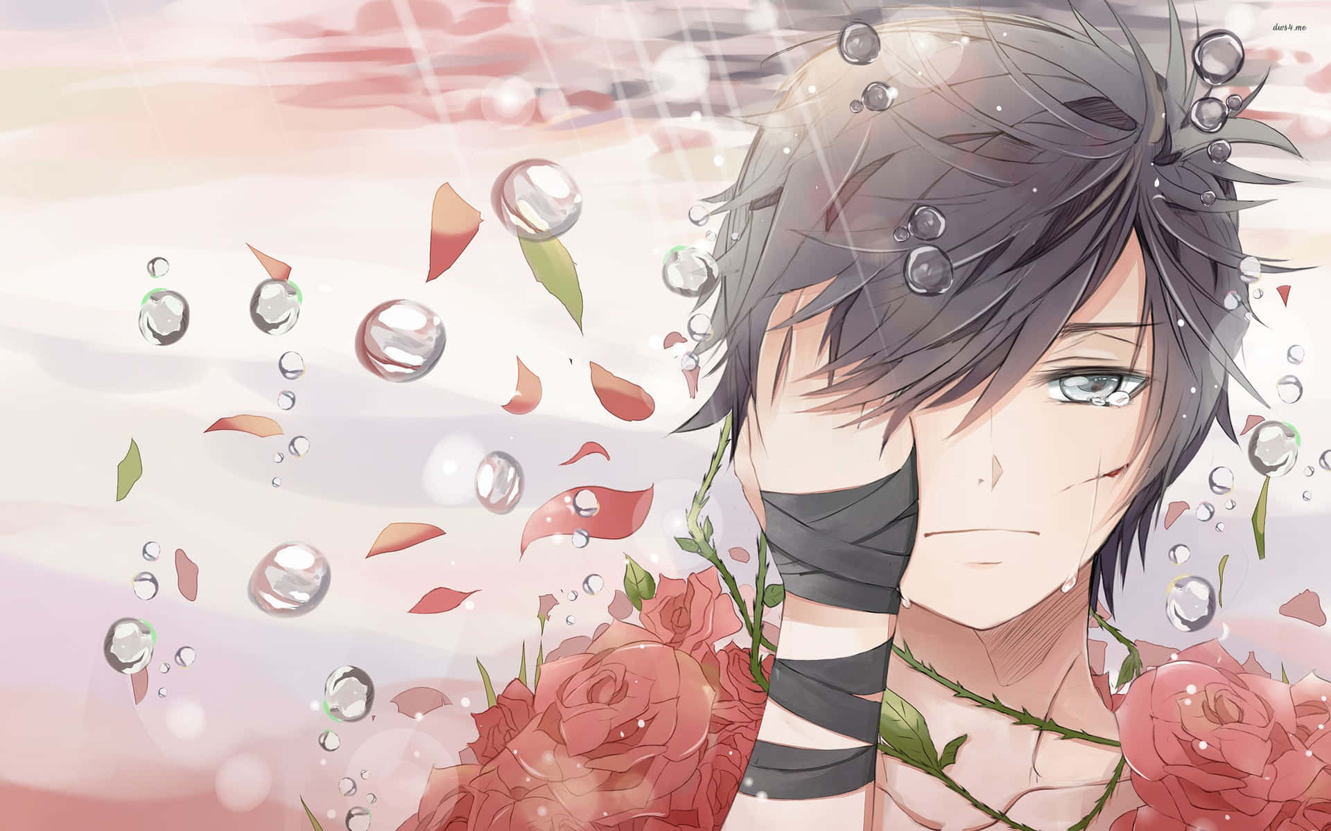 Rose Boy Depressed Pfp Background