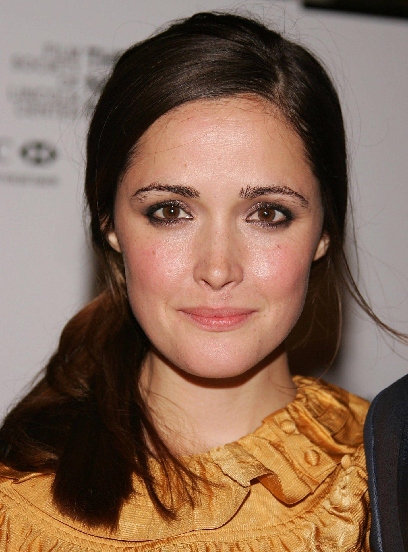 Rose Byrne At 44th New York Film Festival Background