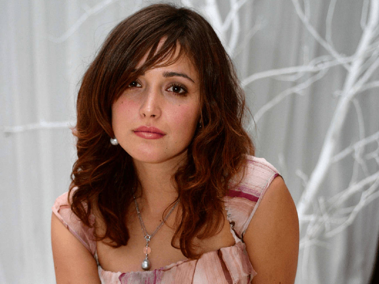 Rose Byrne Australian Celebrity Actress Background