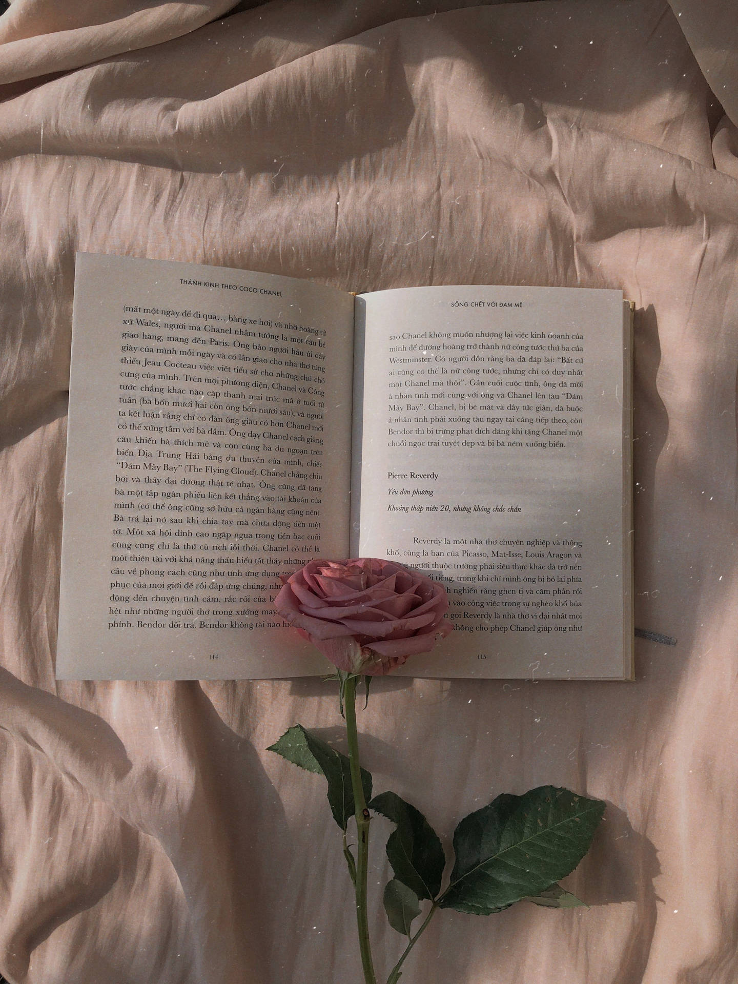 Rose Gold Aesthetic Book Background