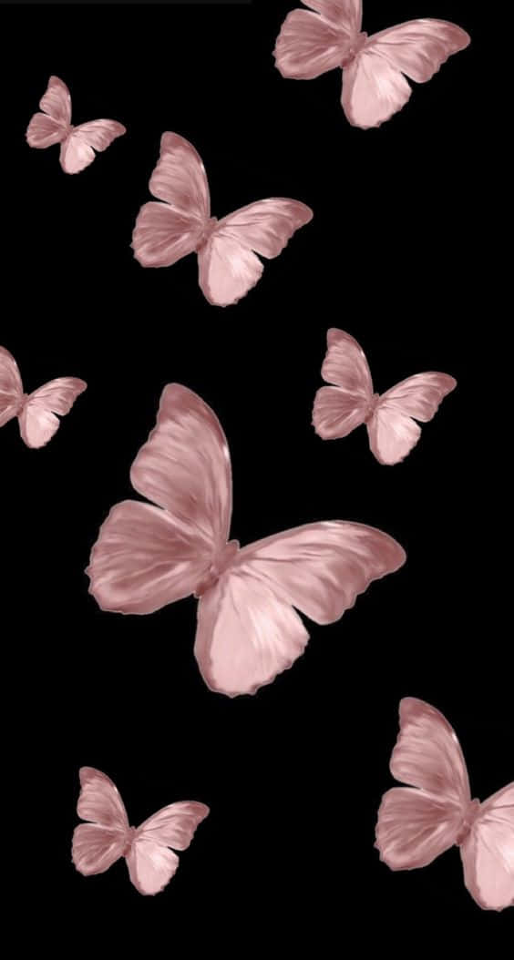 Rose Gold And Black Butterflies Background