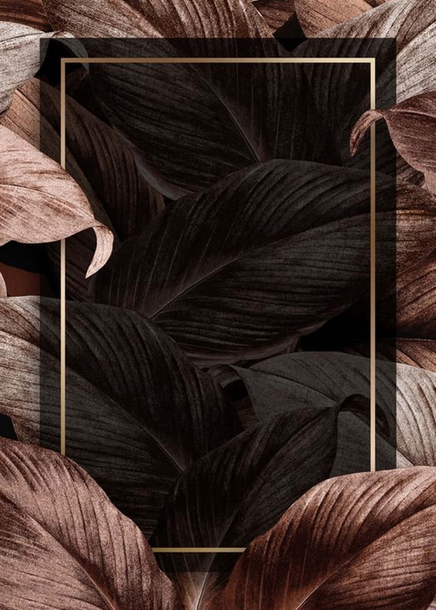 Rose Gold And Black Leaves Background