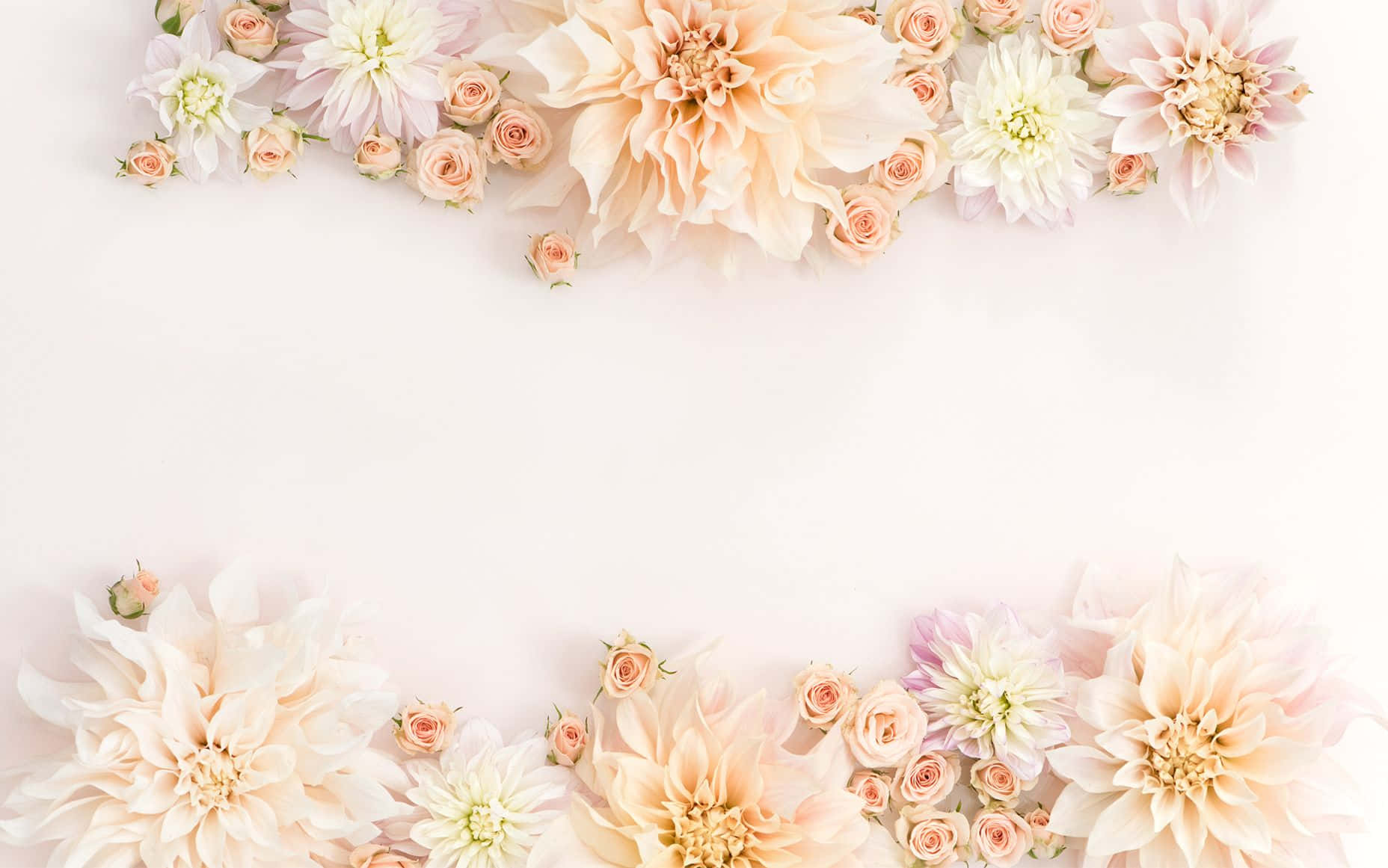 Rose Gold Flowers Nice Desktop