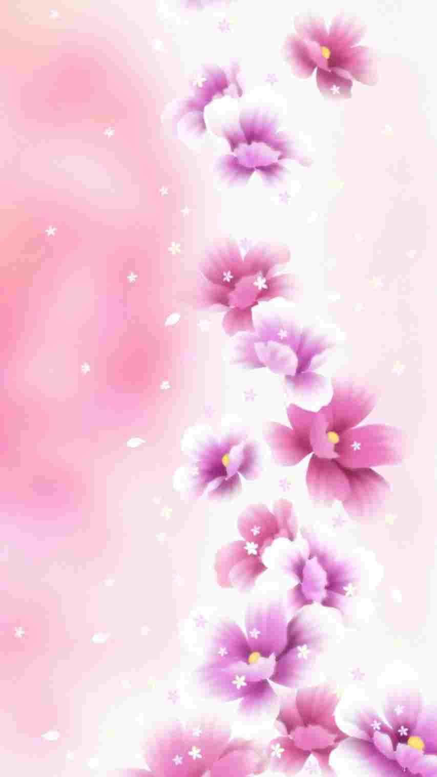 Rose Gold Iphone 5 Flower Petals Background