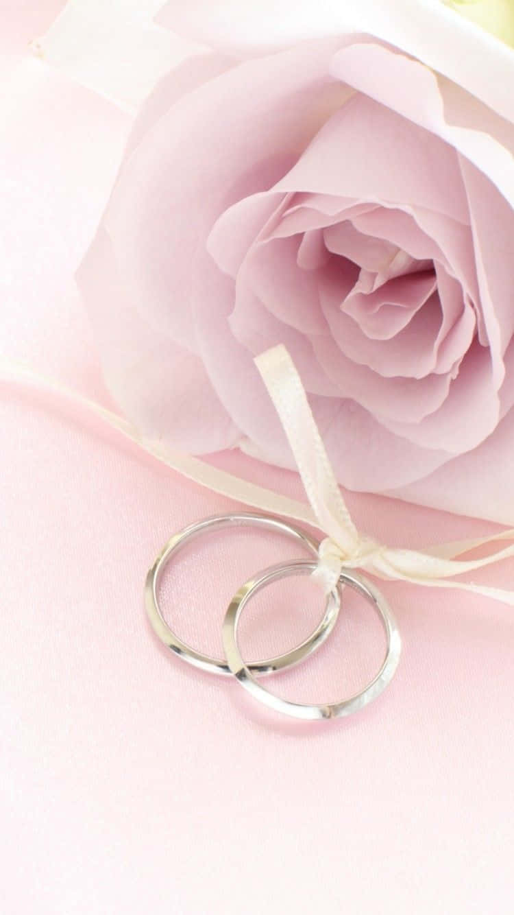 Rose Gold Iphone 5 Flower Photography Background
