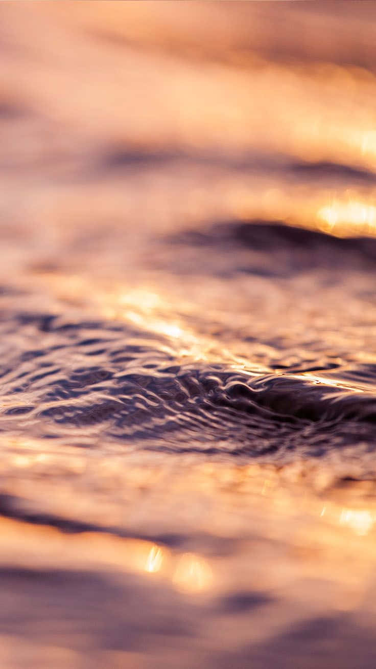 Rose Gold Iphone 5 Water Sunset Background