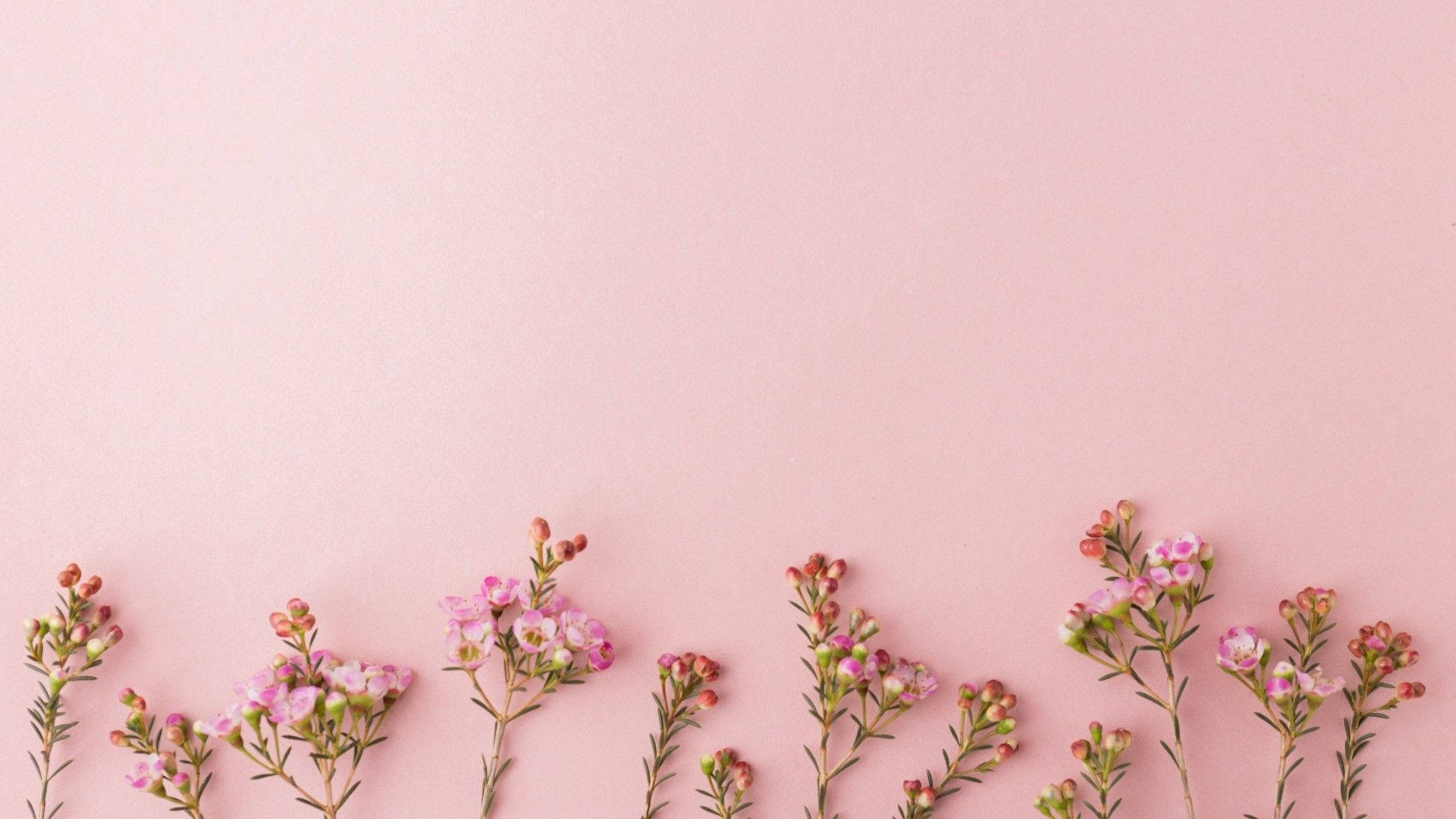 Rose Gold Tiny Flowers Background