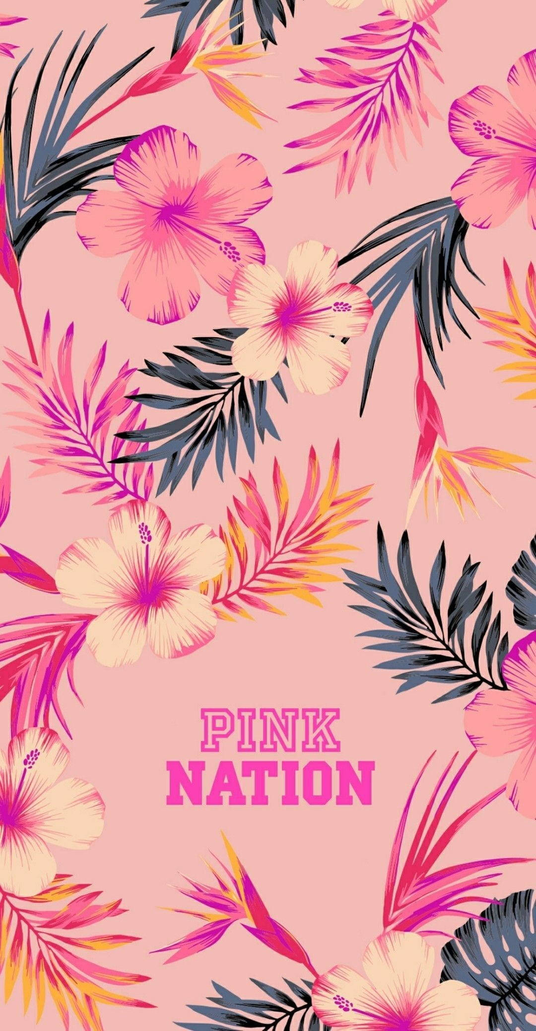 Rose Gold Tumblr Pink Nation Background