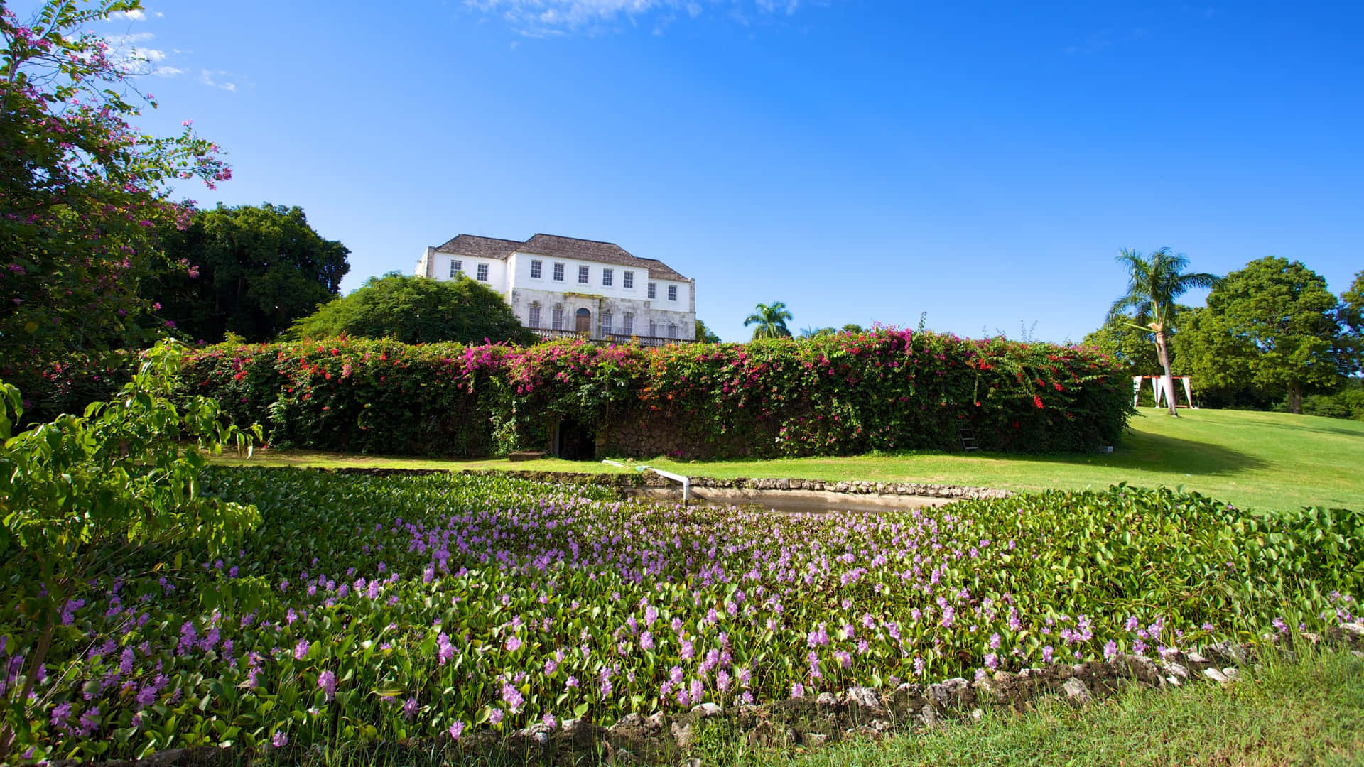 Rose Hall Great House Grass Surroundings
