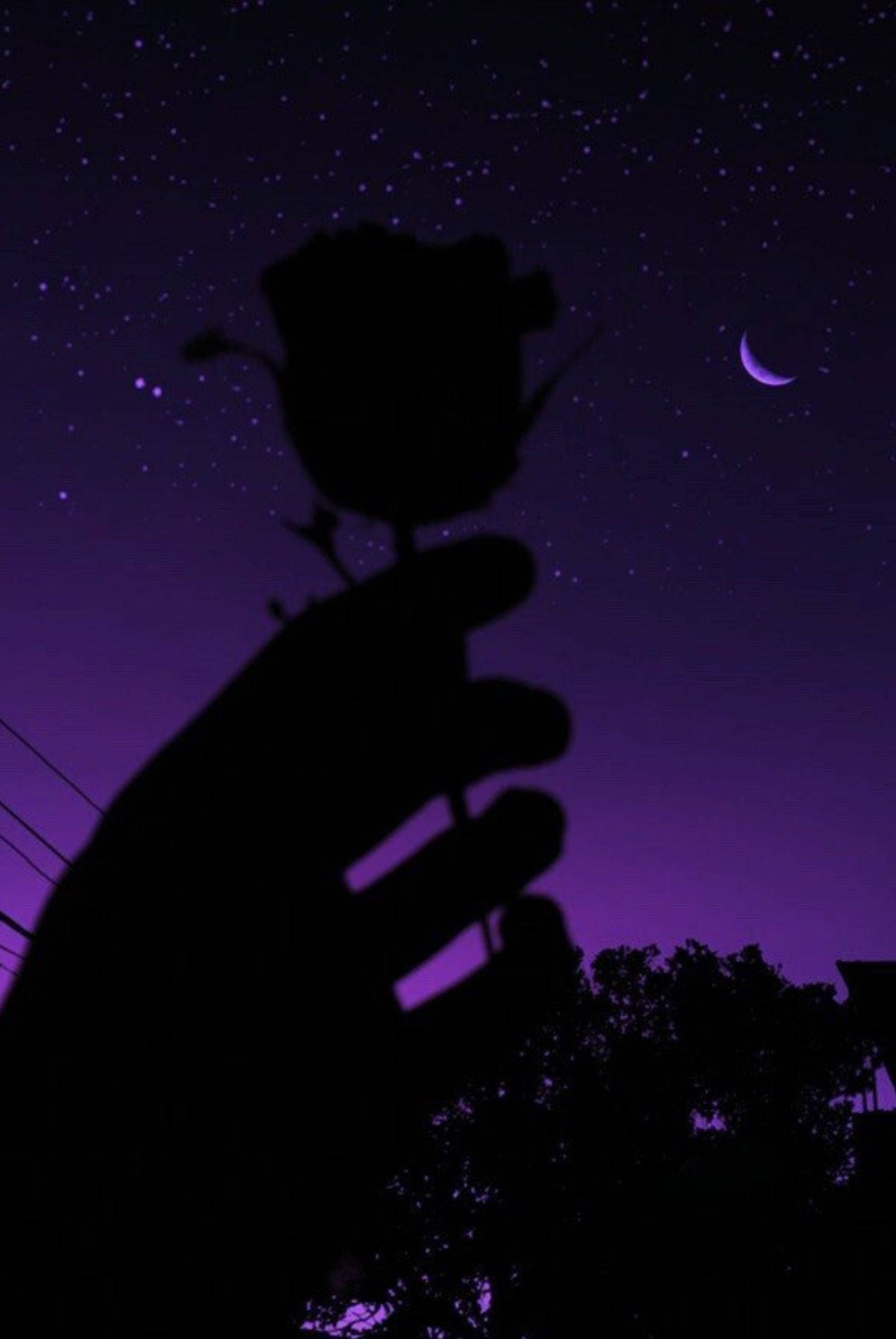 Rose Silhouette Dark Purple And Black Background