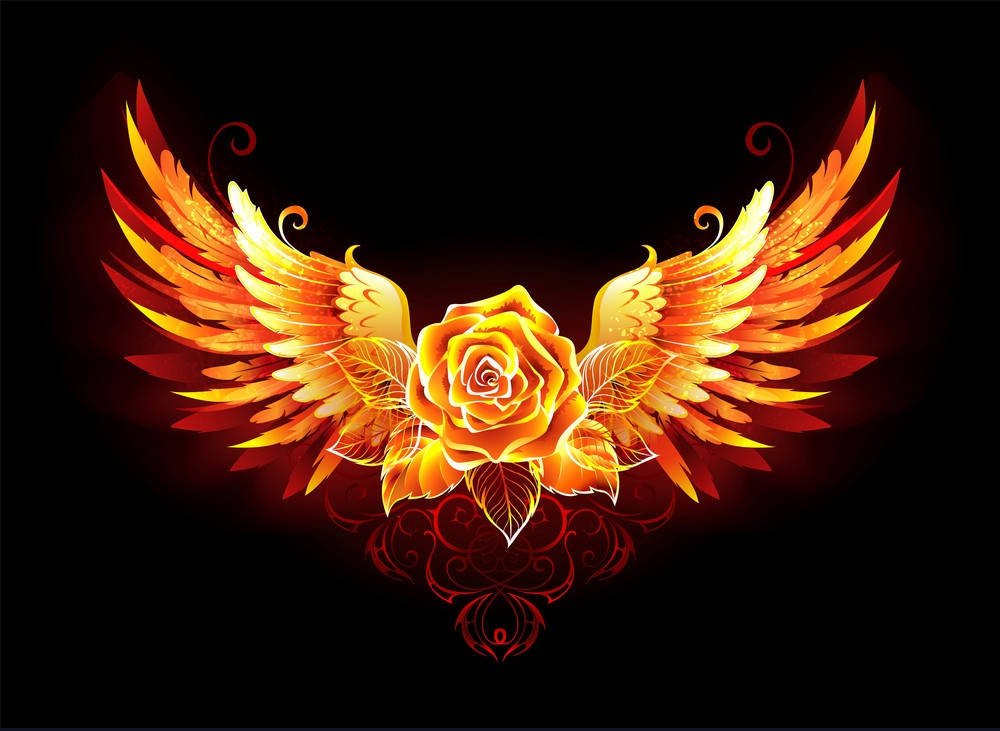 Rose With Fire Wings Background