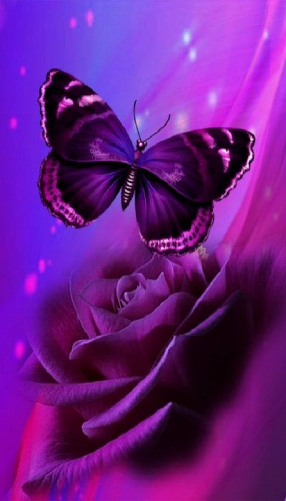Rose With Purple Butterfly Phone Background