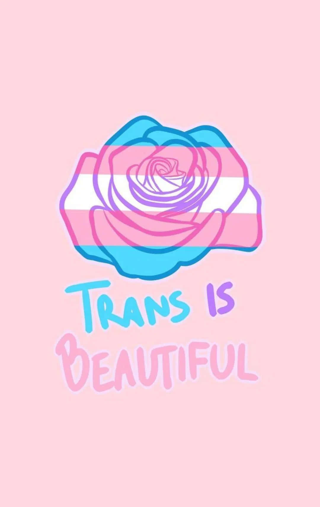 Rose With Trans Is Beautiful Statement Background