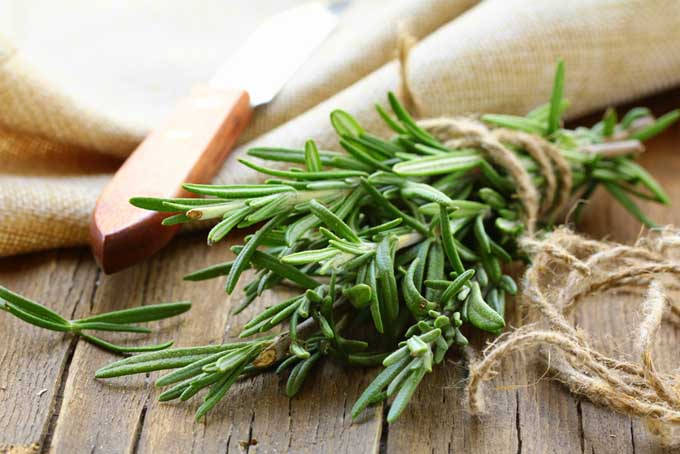 Rosemary Bundle Tied On Wooden Surface Background