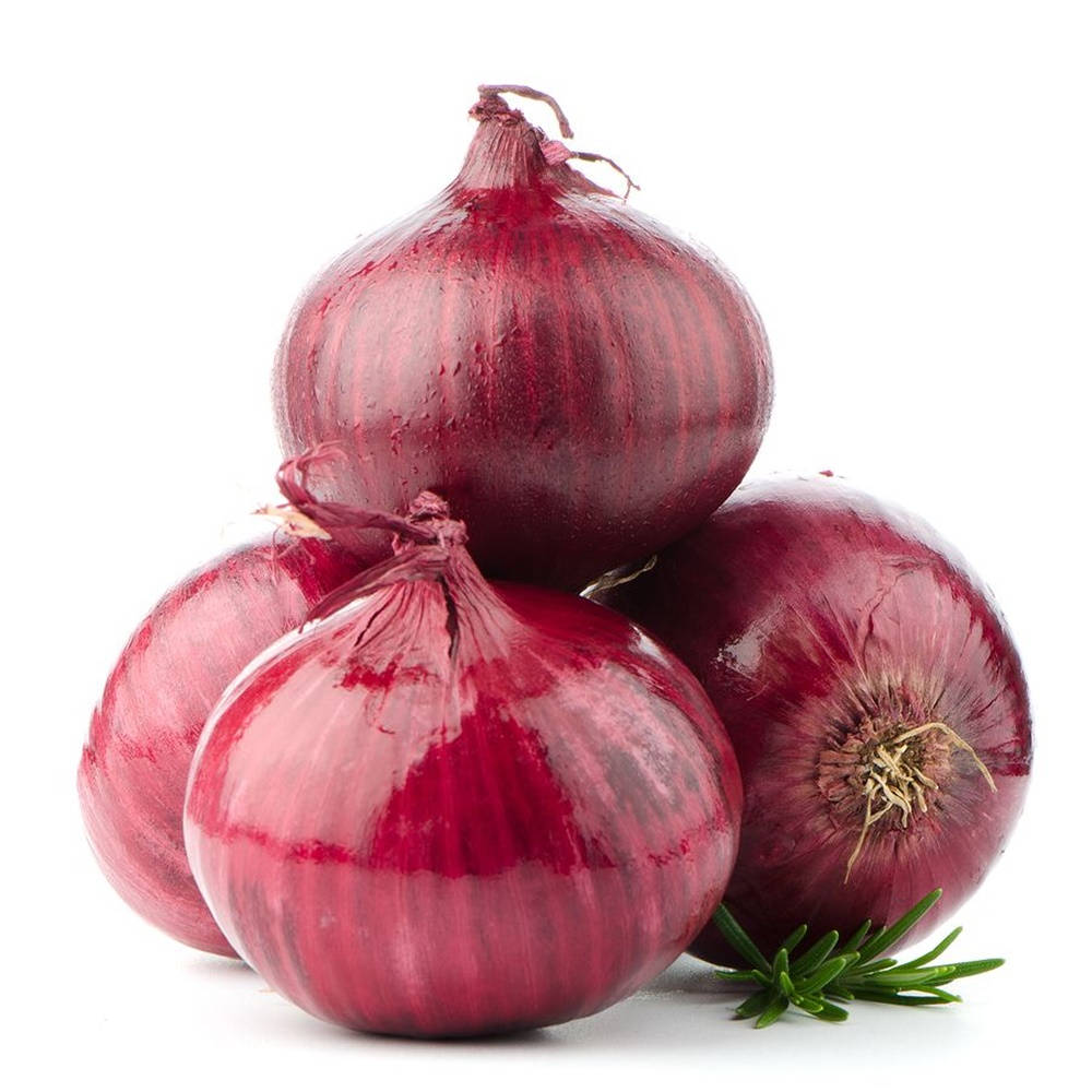 Rosemary Herb Under Red Onions Background