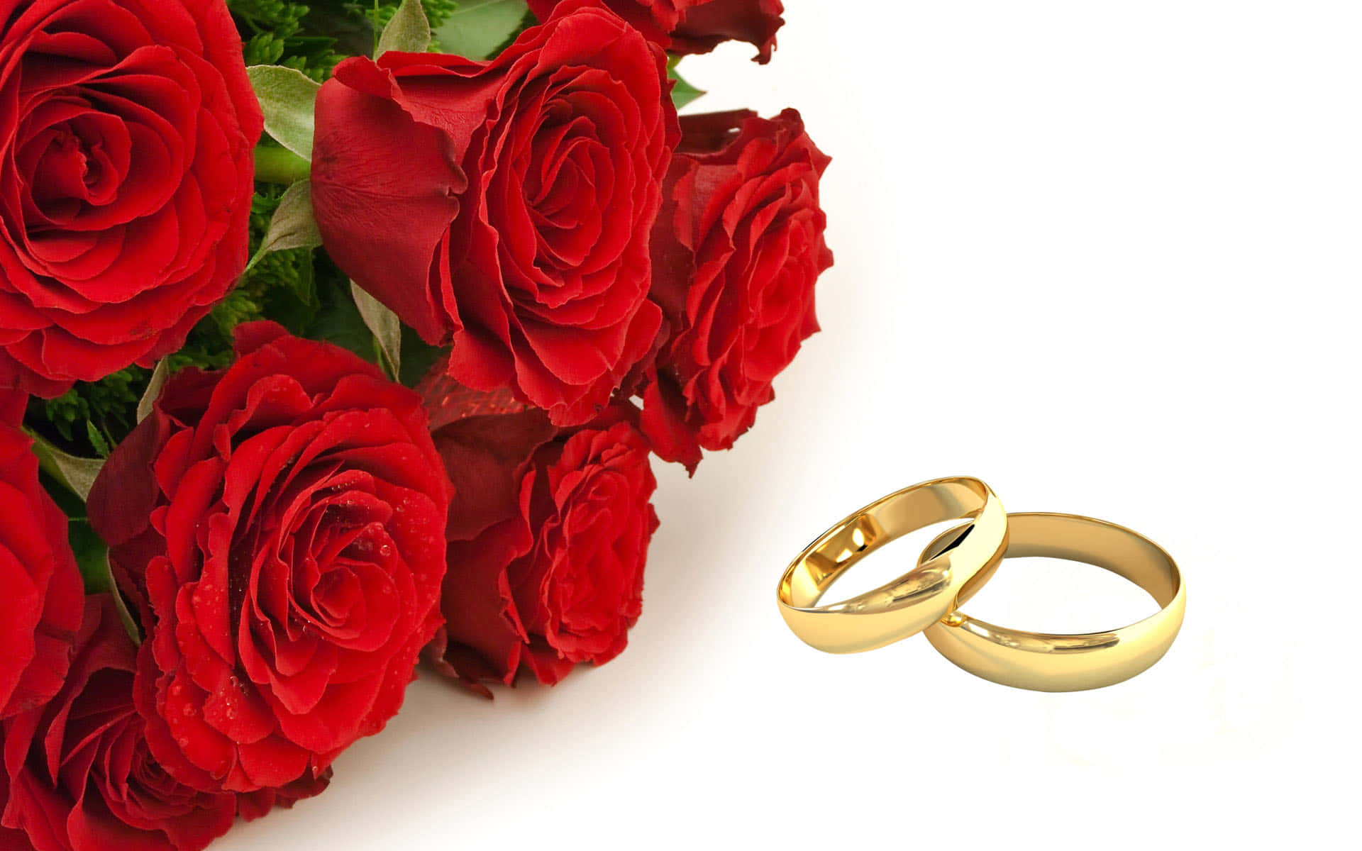 Roses And Golden Wedding Ring Background