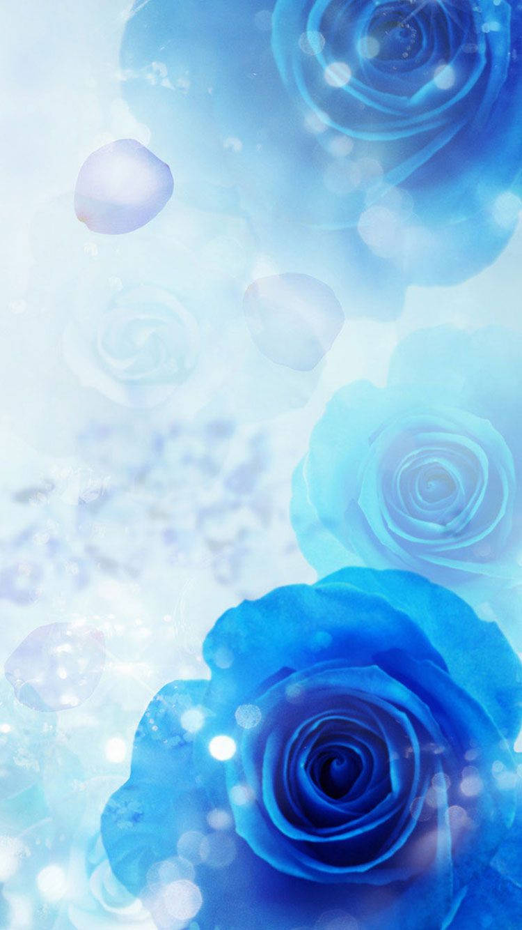Roses Blue Iphone Background