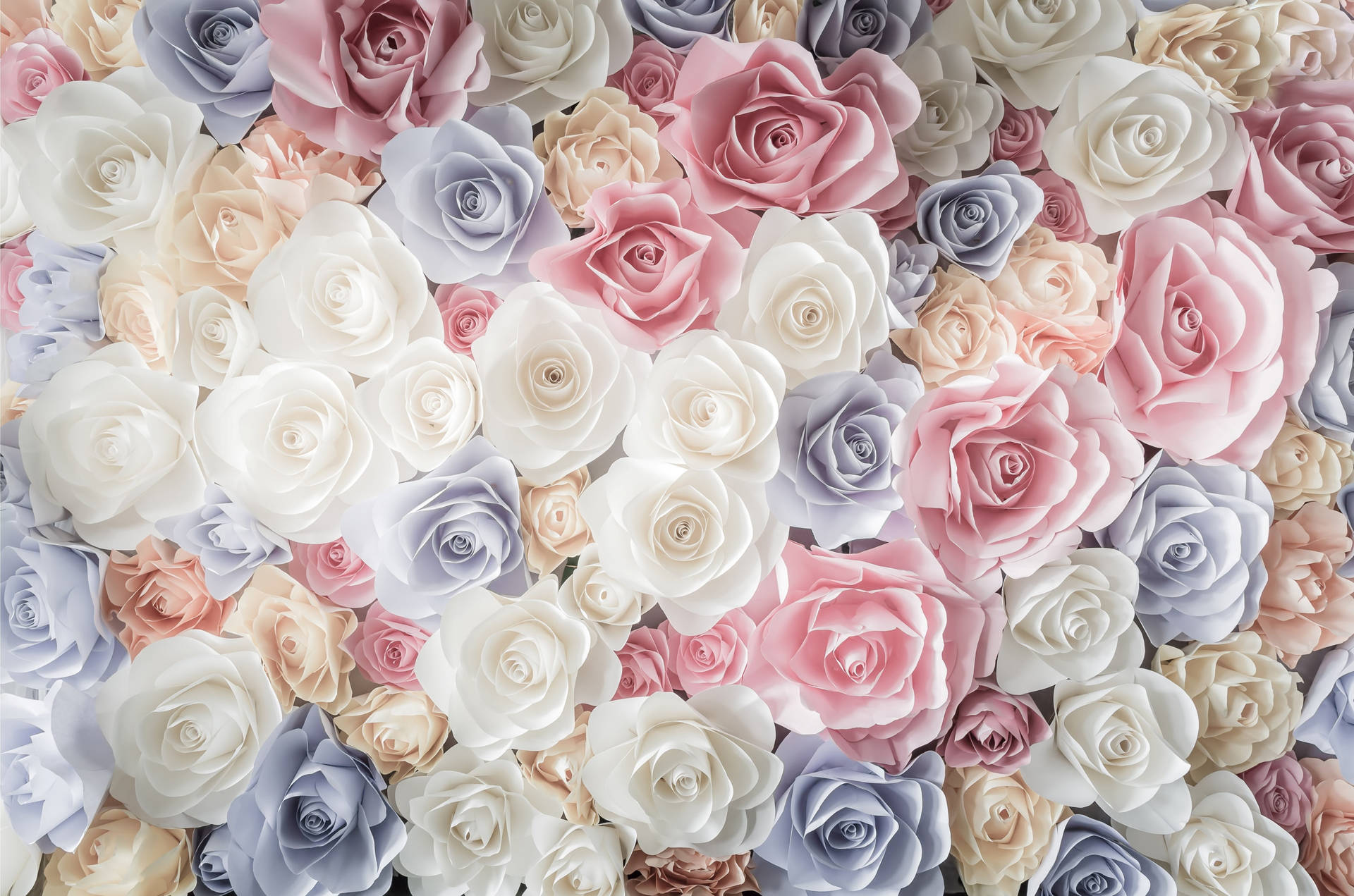 Roses Full Screen 4k Flowers Digital Art Background