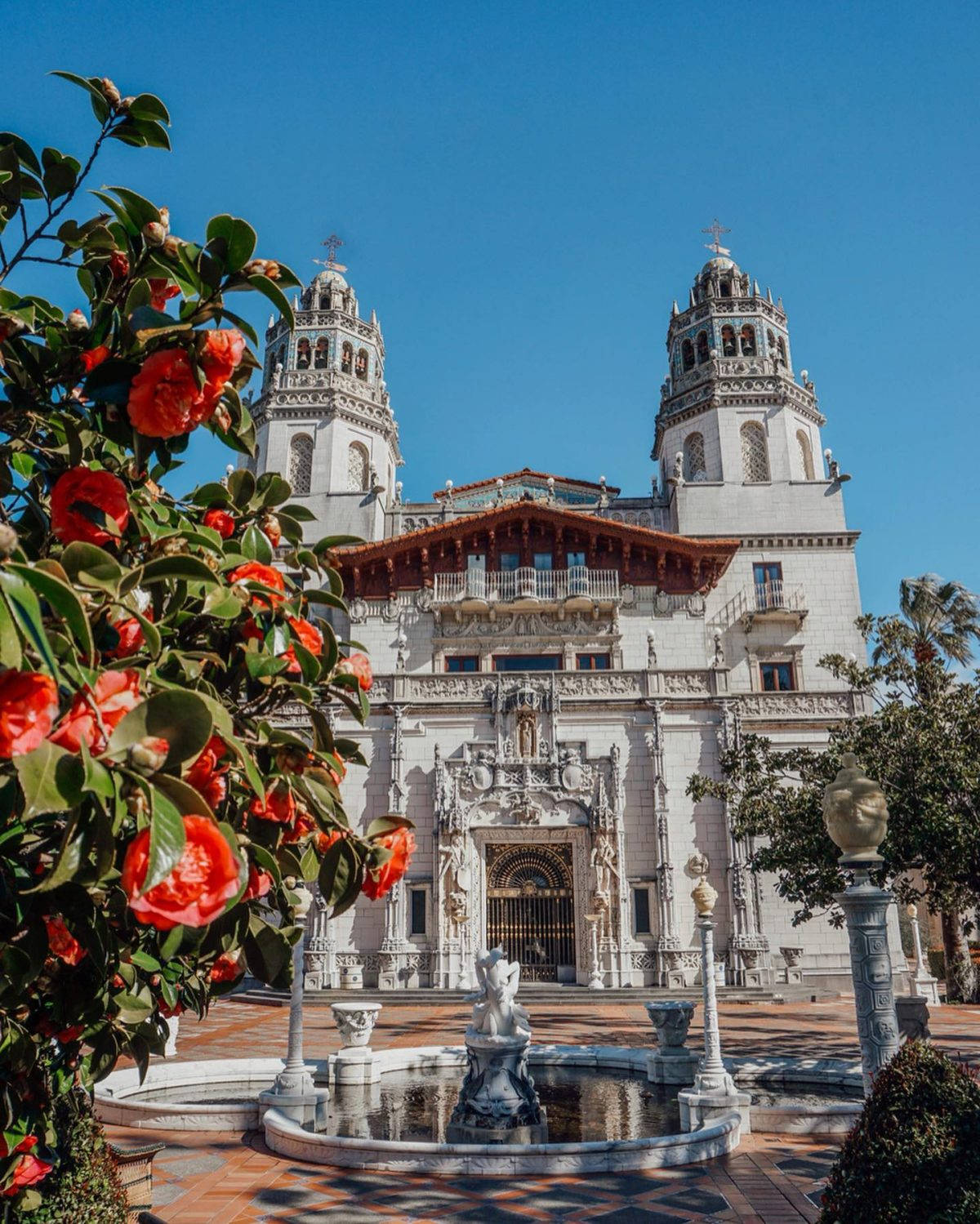 Roses In Front Of The Hearst Castle Background