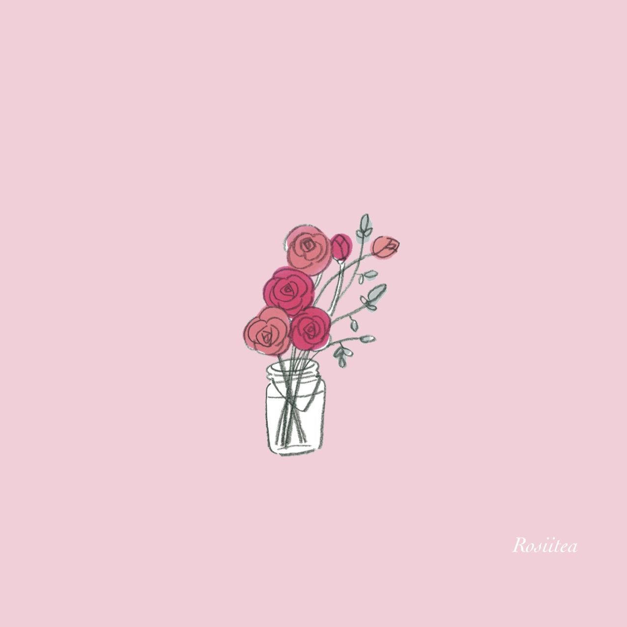 Roses In Plain Color Background