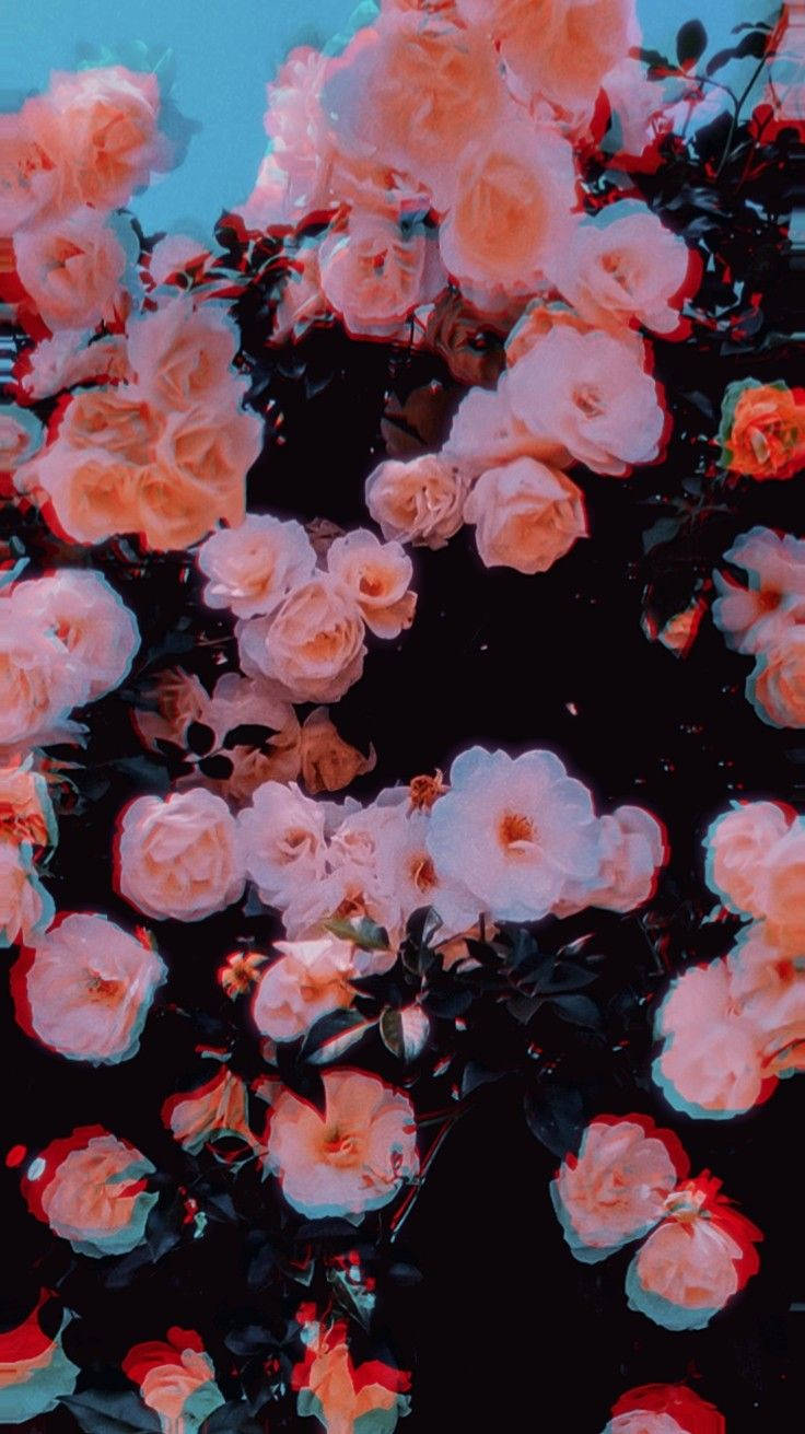 Roses Trippy Aesthetic Background