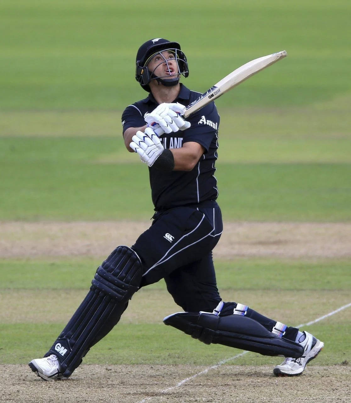 Ross Taylor Cricket Player Background