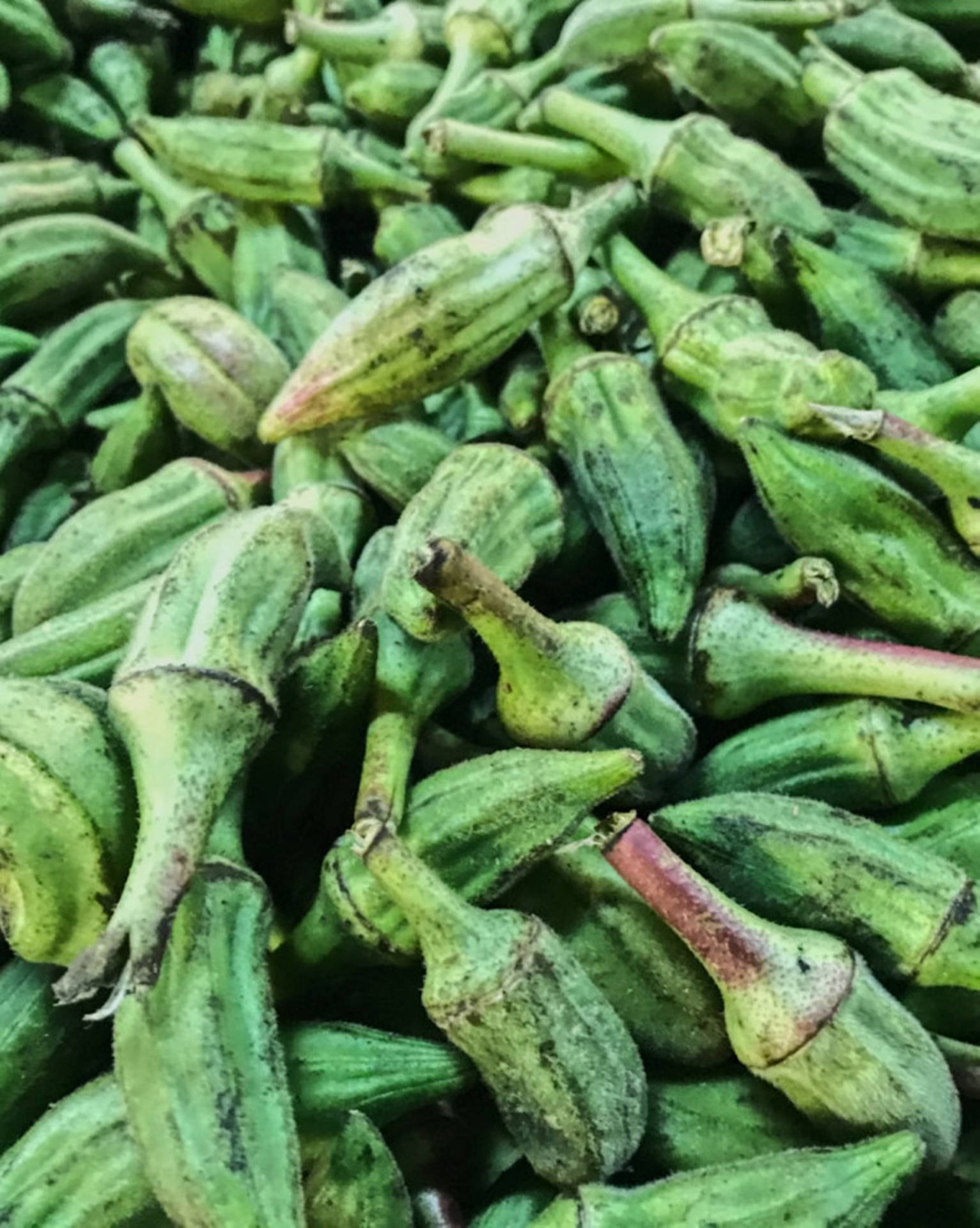 Rotten Small Green Okra Background