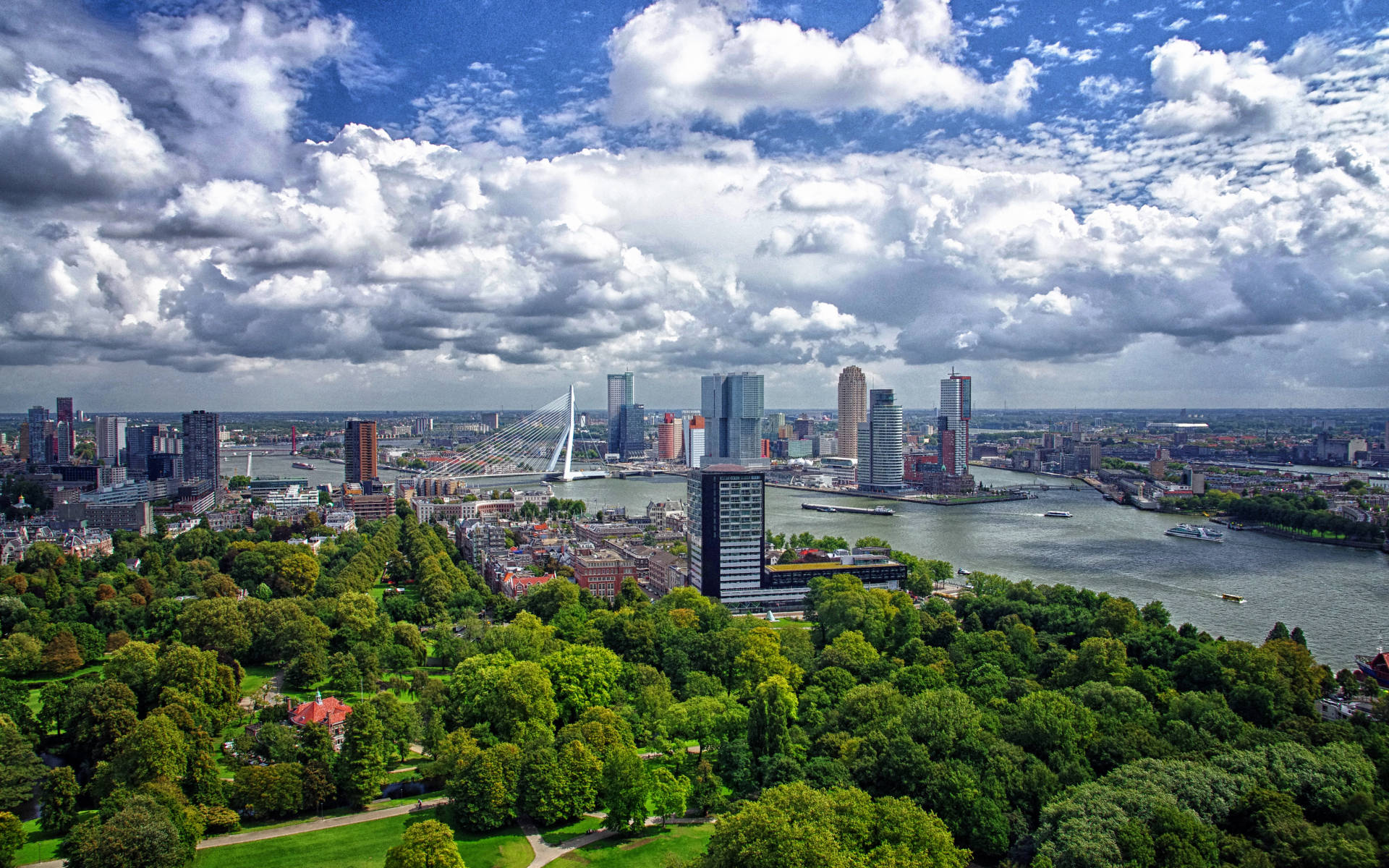 Rotterdam Netherlands City Skyline Background