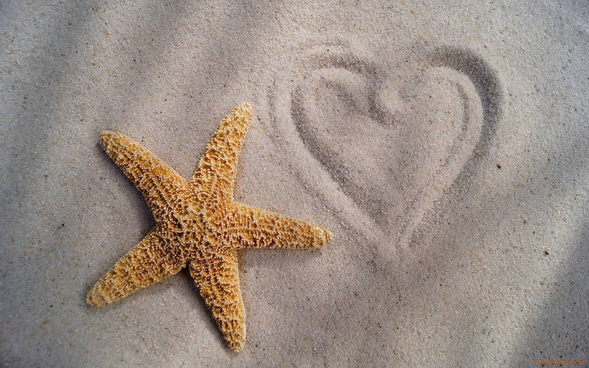 Rough Brown Starfish Heart On Sand