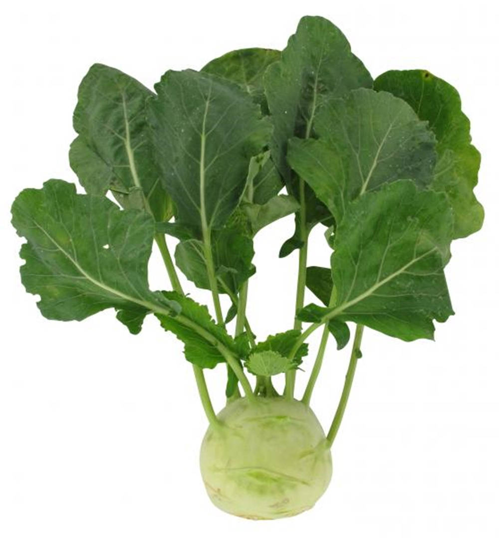 Round Kohlrabi Vegetable Background