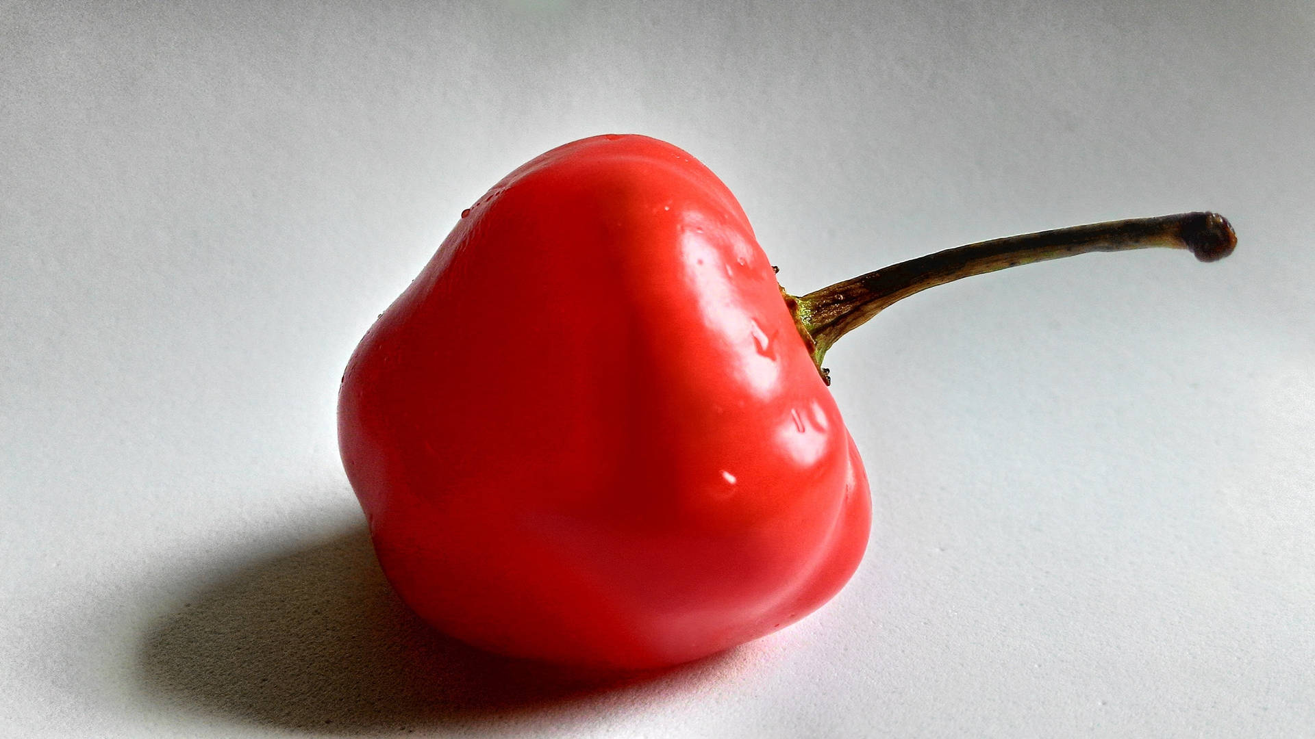 Round Red Bell Pepper Fruit