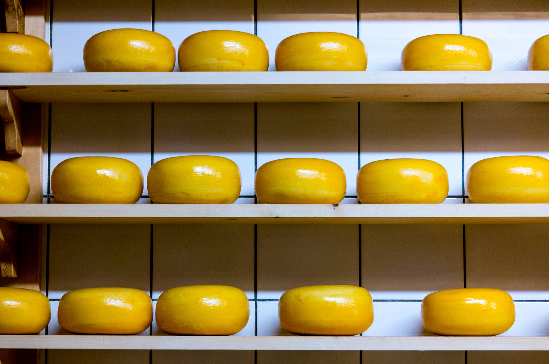 Round Yellow Cheese On Shelf Background