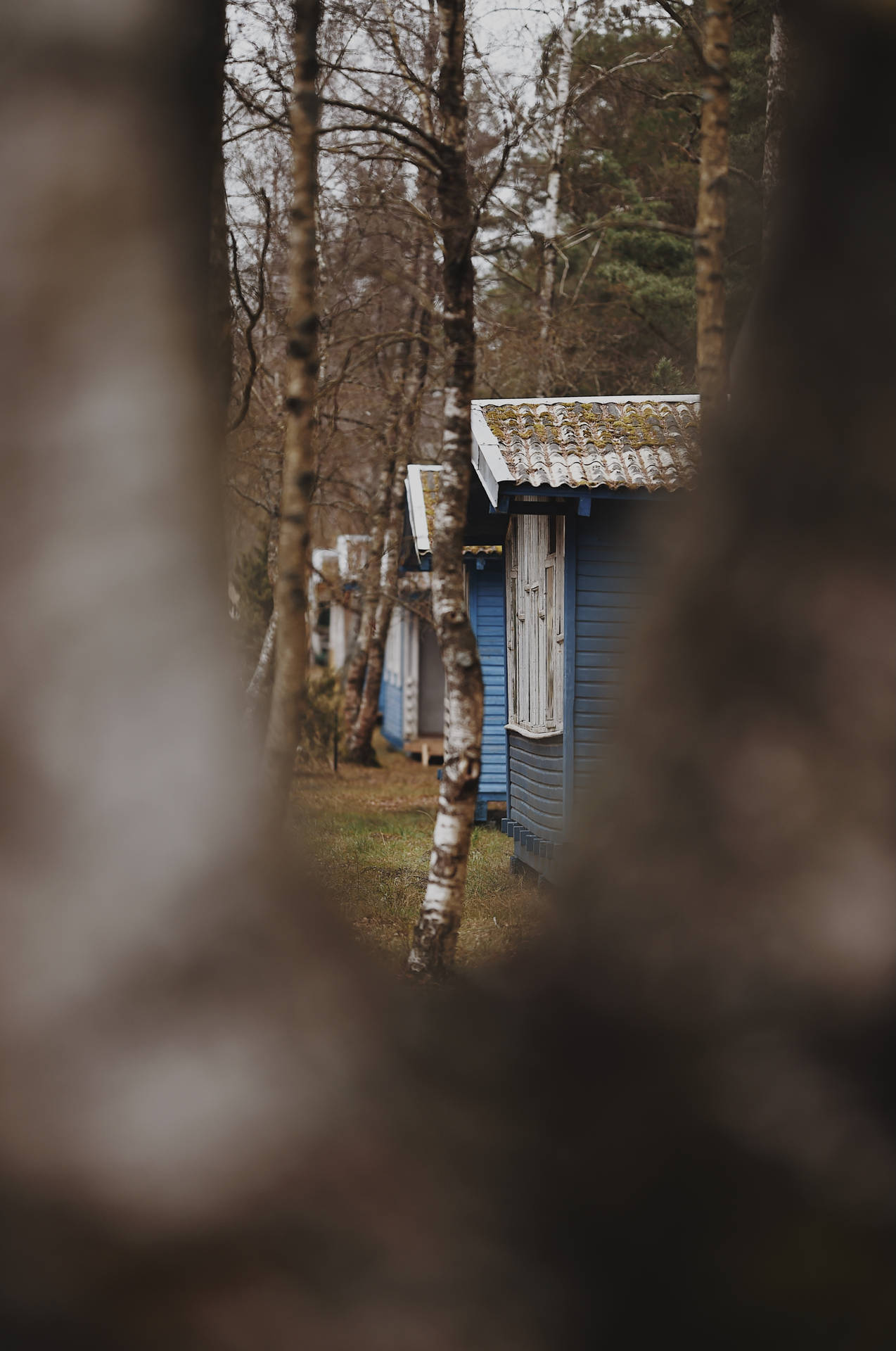 Row Of Blue Houses In Lithuania