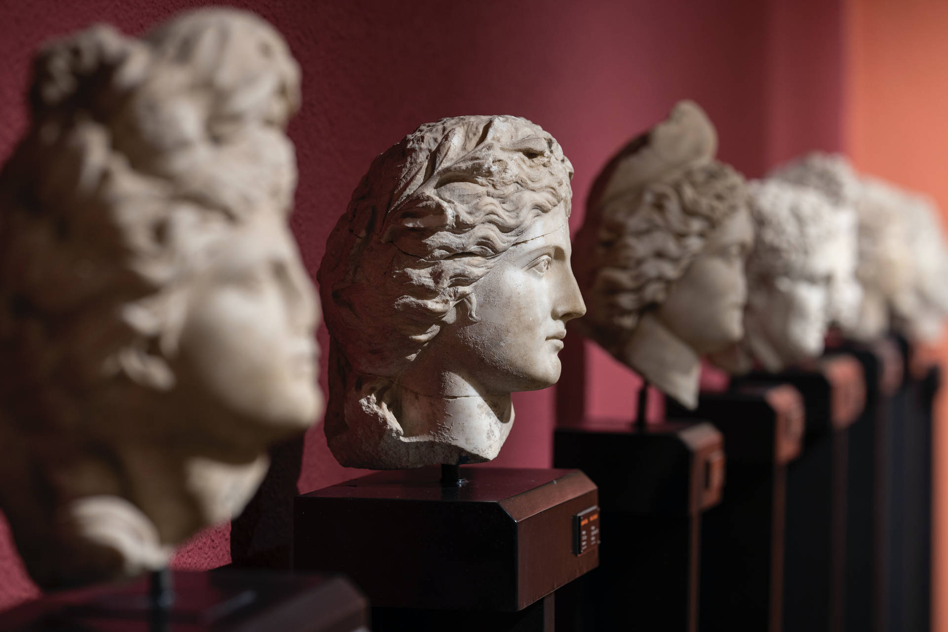 Row Of Head Sculptures