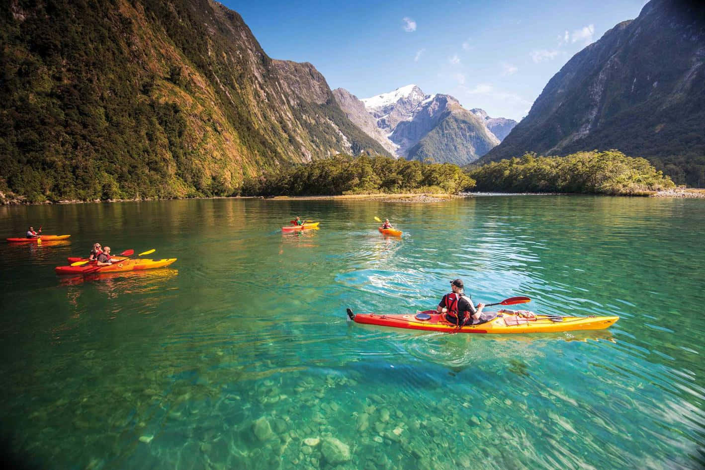 Rowing Boats Milford Sound Background