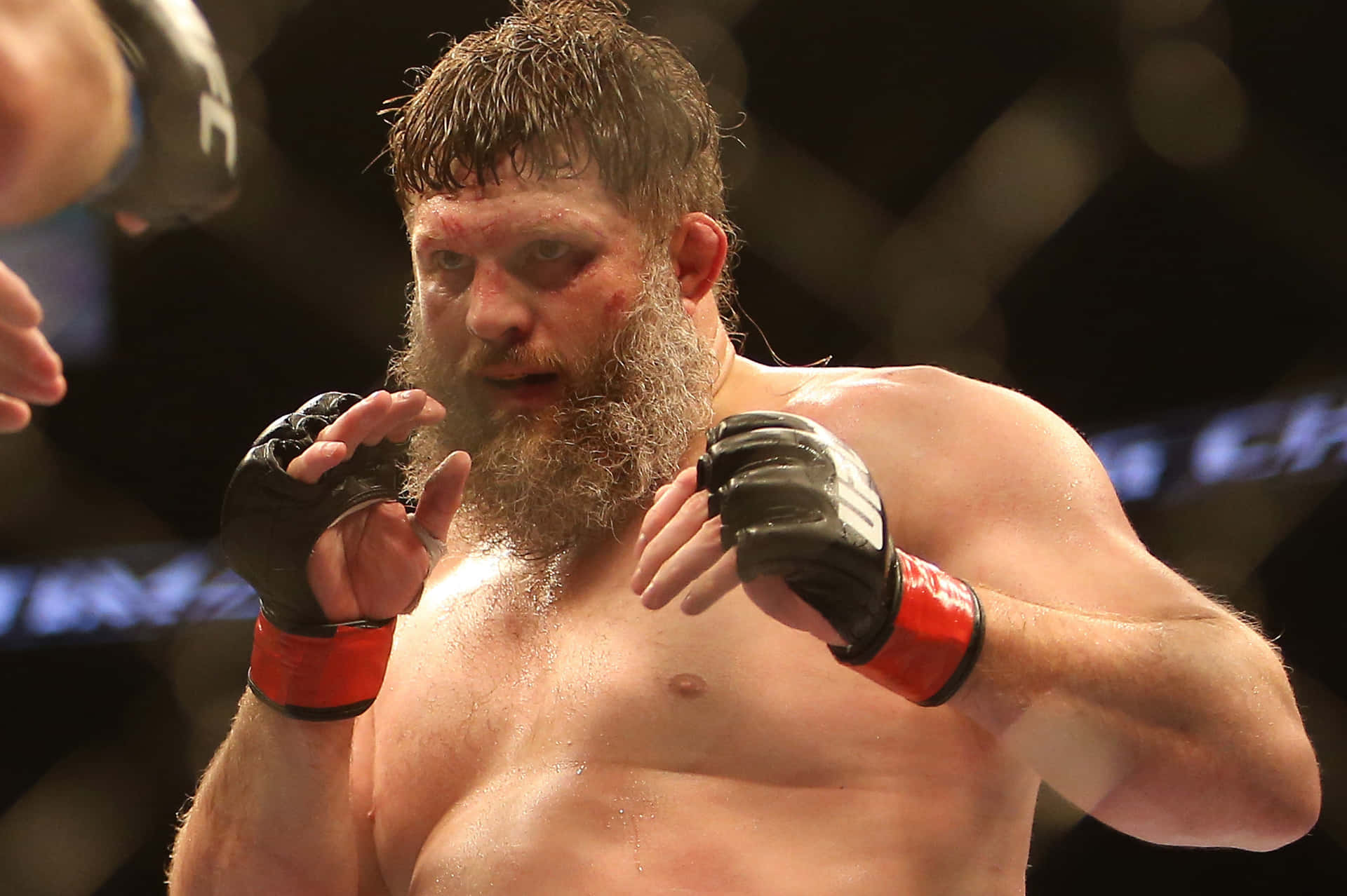 Roy Nelson Against Fabricio Werdum Background