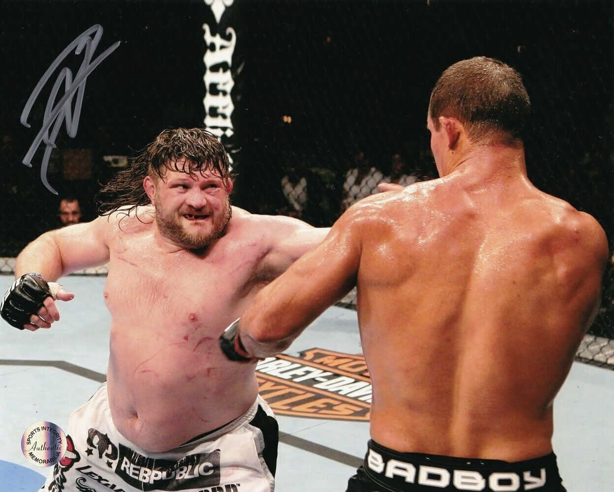 Roy Nelson And Junior Dos Santos Ufc 117 Background