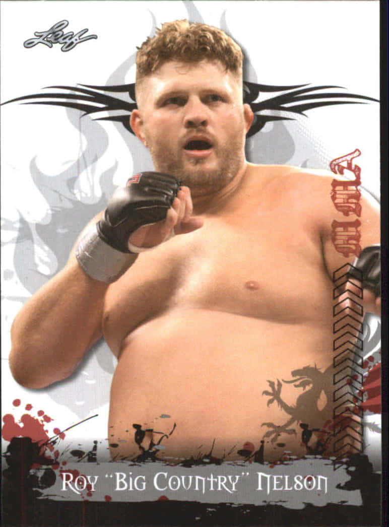 Roy Nelson Big Country Graphic Background