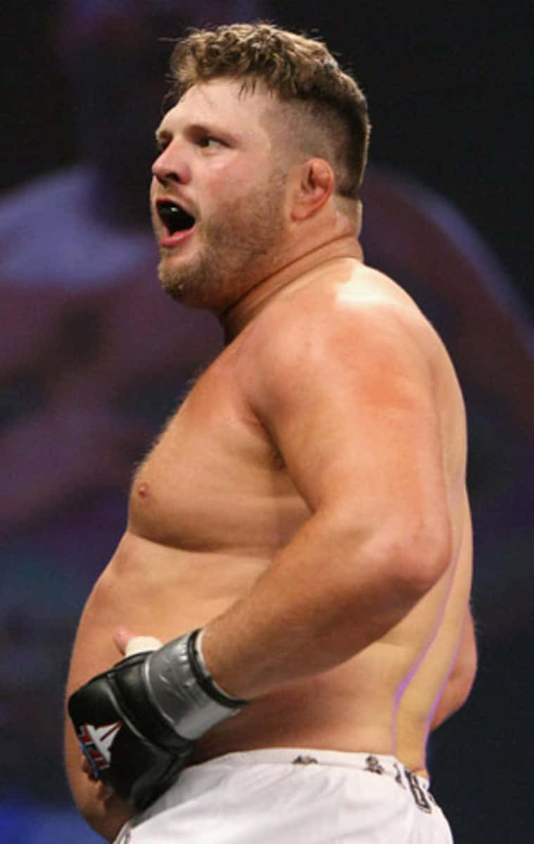 Roy Nelson Celebrates Win Against Brad Imes Background