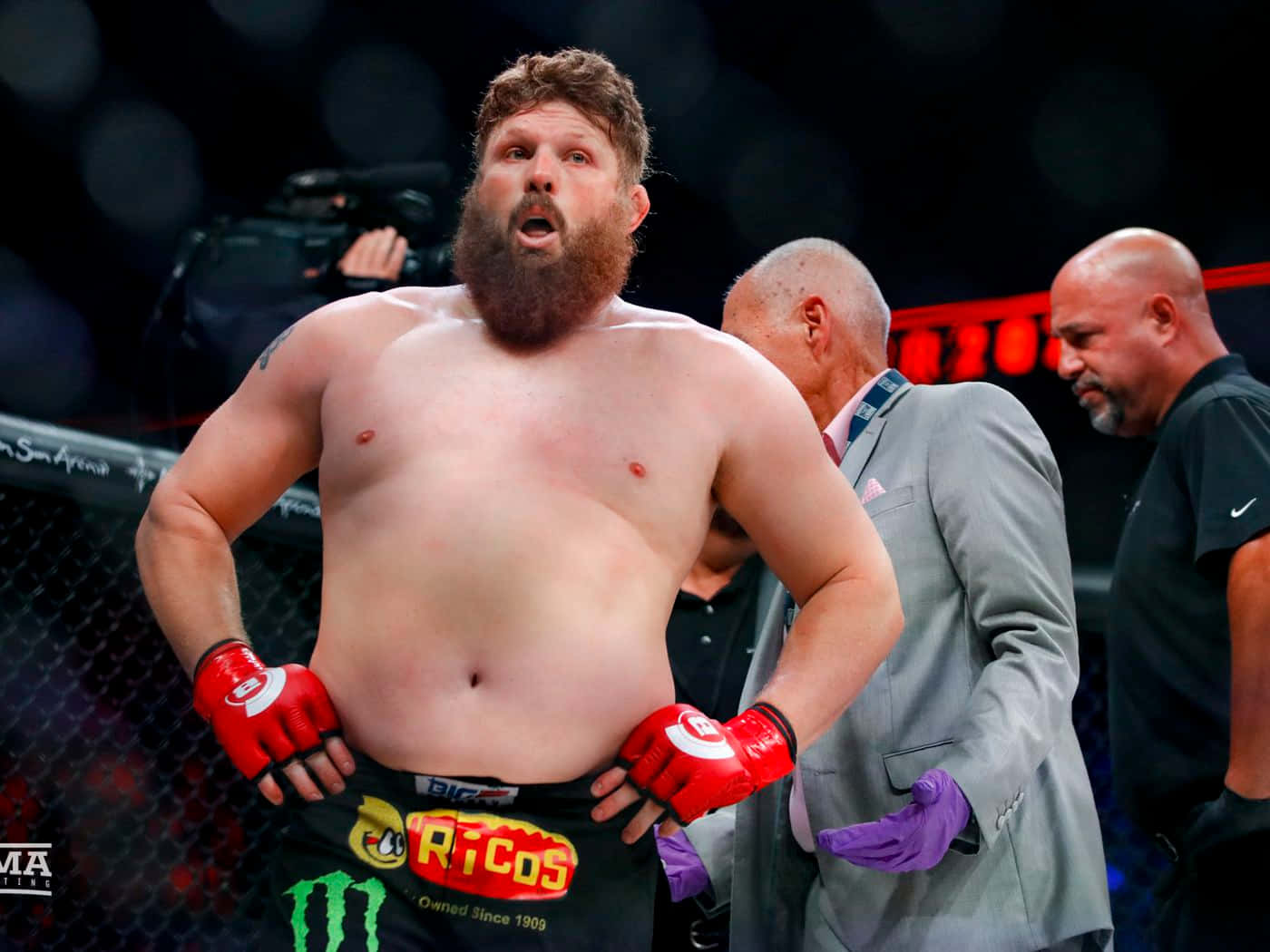 Roy Nelson During Bellator Fight Background