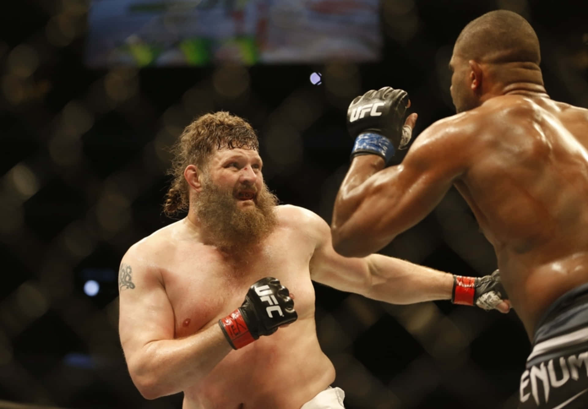 Roy Nelson Fights With Alistair Overeem Background