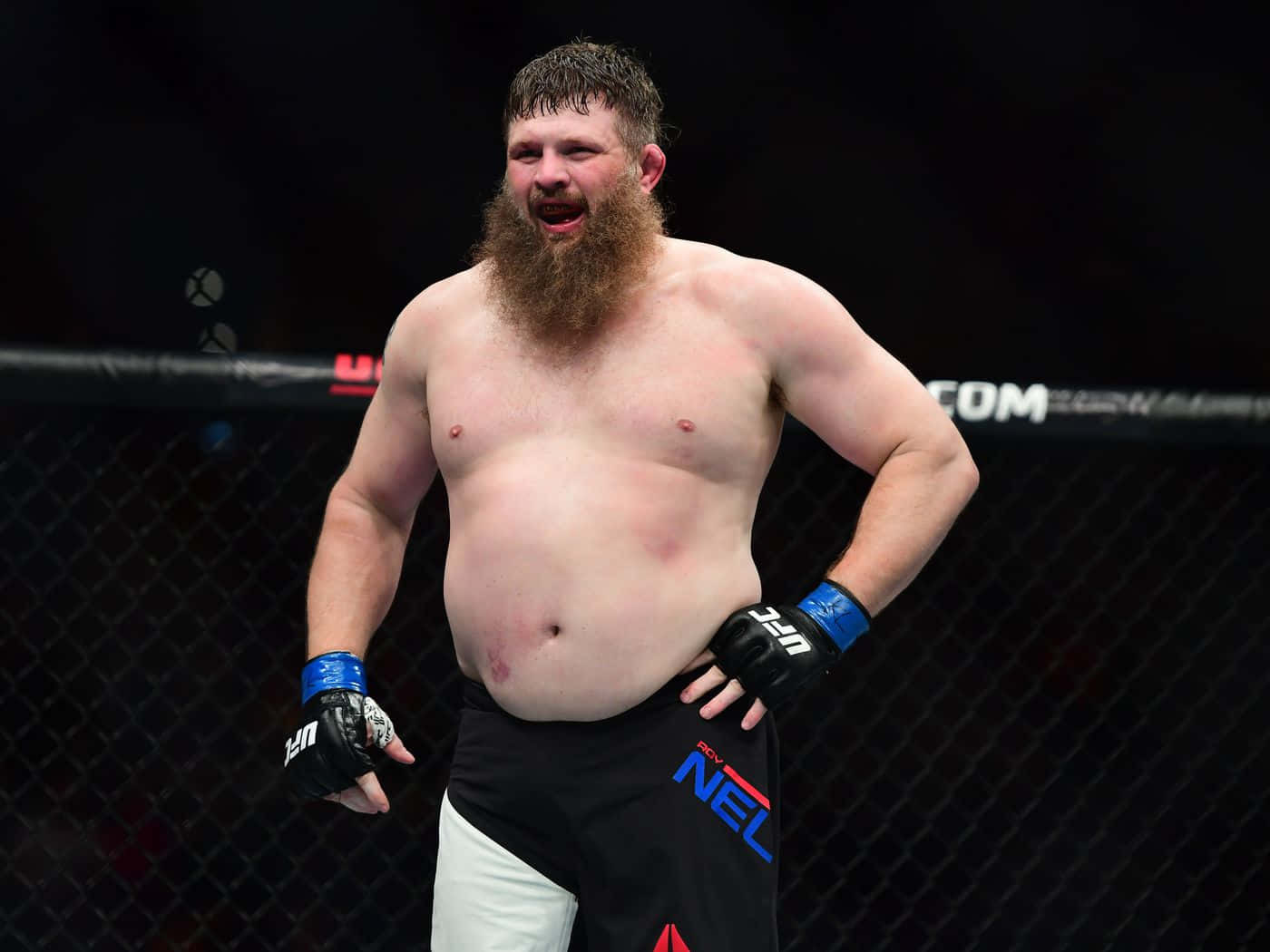 Roy Nelson In A Ufc Fight Background